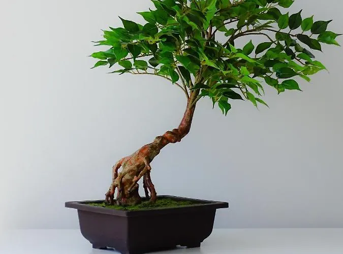 Διαμέρισμα Rs Πόρτο